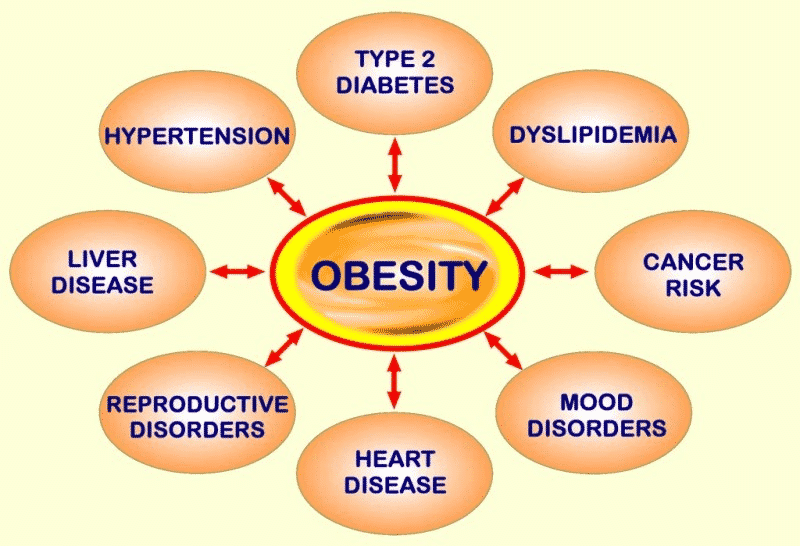 Challenges in the Management of Geriatric Obesity in High-Risk Populations